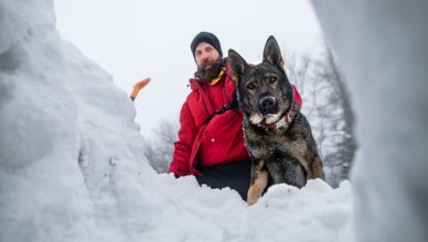 sopravvive al freddo estremo (e alle insidie) della montagna