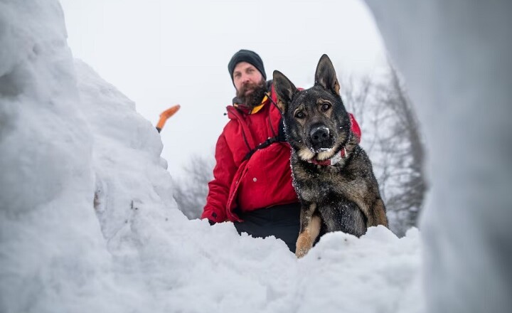 sopravvive al freddo estremo (e alle insidie) della montagna