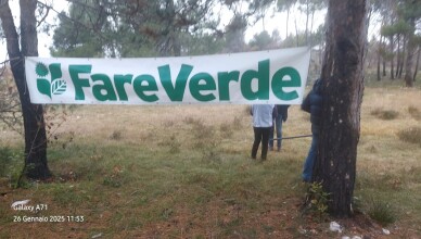 bosco Morroni fare verde