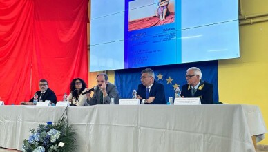 Bullismo e Cyberbullismo, Quadrini