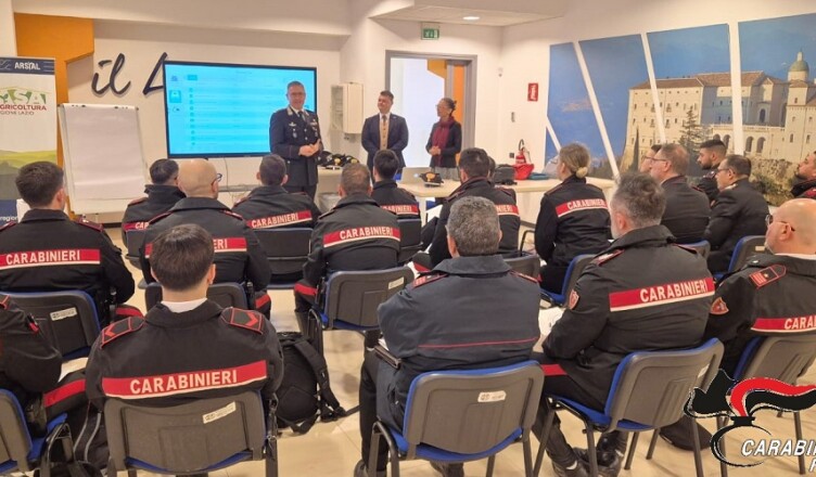 Comunicazione in emergenza nella lingua dei segni italiana e nella lingua dei segni italiana tattile