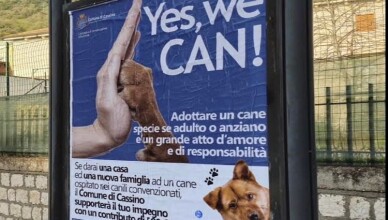 YES, WE CAN
