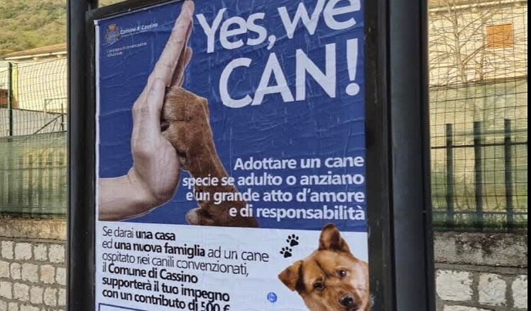 YES, WE CAN