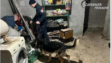 carabinieriantidroga