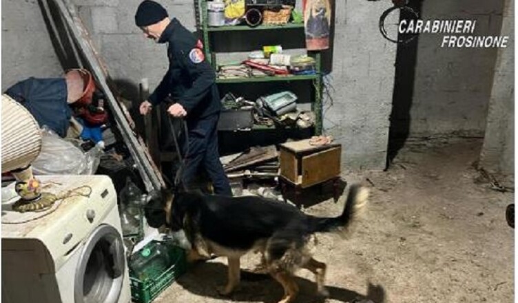 carabinieriantidroga