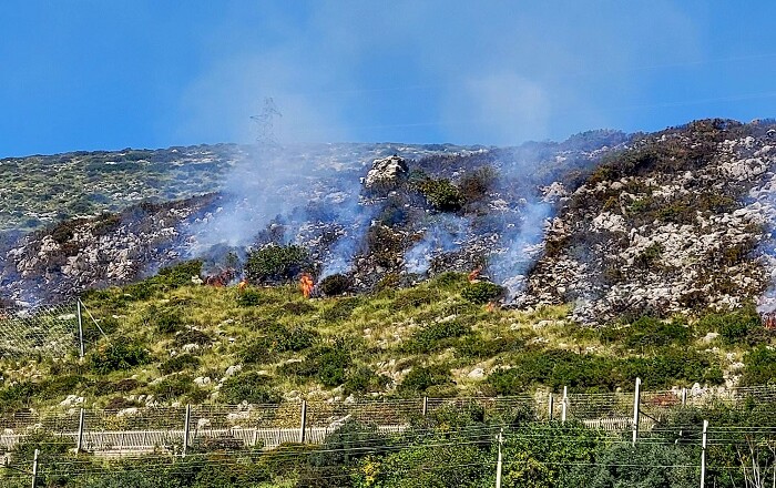 incendio acerbara
