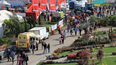 38ᵃ ed. della Mostra Agricola CampoVerde