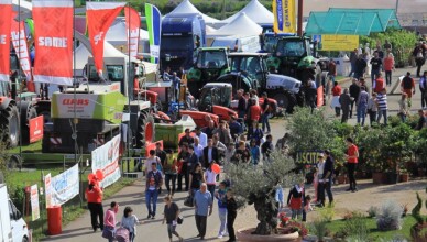 Mostra Agricola CampoVerde working in progress