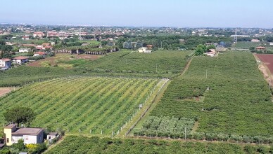 Campagna Cisterna - veduta aerea