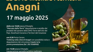 DMO ANAGNI