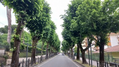 Parcheggio alla passeggiata