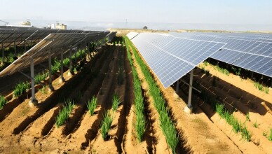 SUPINO - No agli impianti fotovoltaici a terra sui terreni NON inquinati. del sito SIN Valle del Sacco