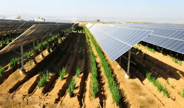 SUPINO - No agli impianti fotovoltaici a terra sui terreni NON inquinati. del sito SIN Valle del Sacco