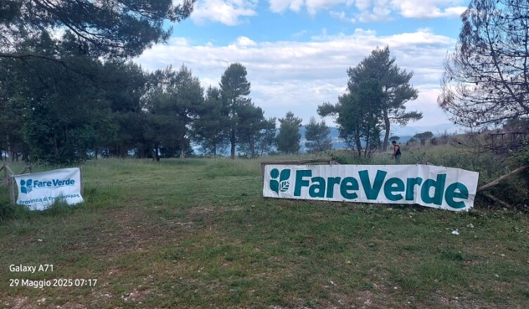 Salviamo il Bosco Morron fare verde