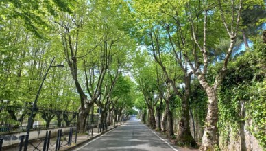 Viale Matteotti, Anagni. Storica Passeggiata