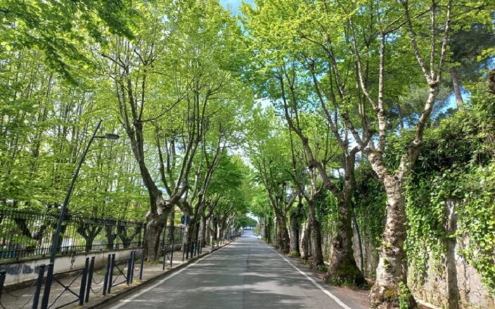 Viale Matteotti, Anagni. Storica Passeggiata
