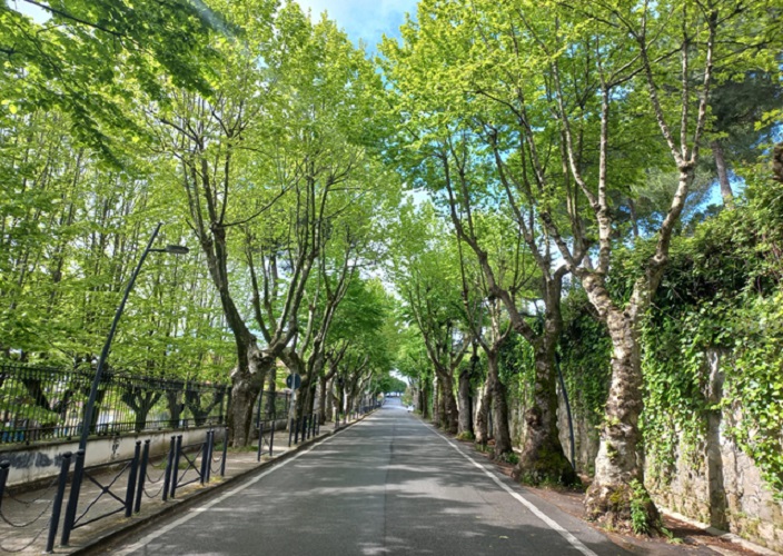 Viale Matteotti, Anagni. Storica Passeggiata