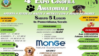4 EXPO CANINA ALATRI