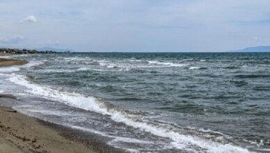 MARE..