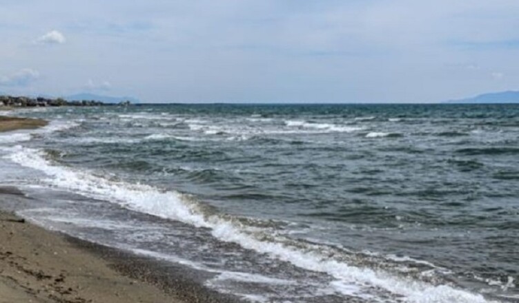 MARE..