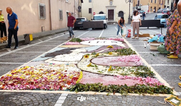 infiorata ceccano 2025