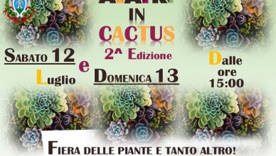ALATRI IN CACTUS