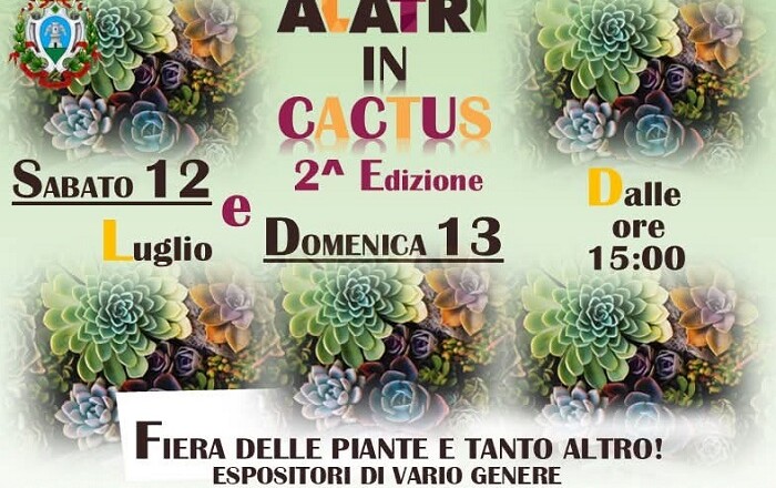 ALATRI IN CACTUS