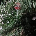 IMG_20250706_105536_849