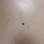 IMG_20250706_105537_180