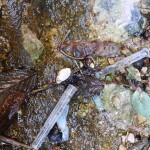 IMG_20250723_132939_343