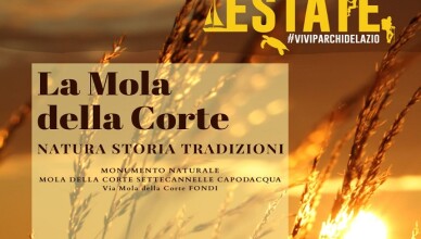 LA MOLE DELLA CORTE