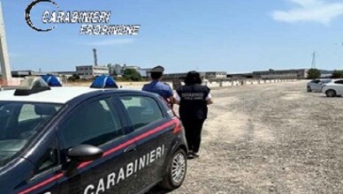 SICUREZZA IN MATERIA DI LAVORO. CONTROLLI DEI CONGIUNTI DEI CARABINIERI, NIL, CARABINIERI FORESTALE E ISPETTORATO TERRITORIALE DEL LAVORO
