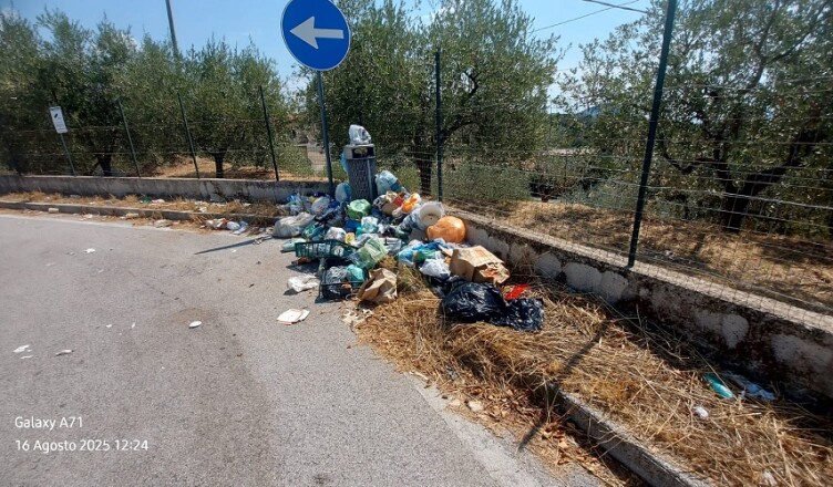 Fare Verde Provincia di Frosinone APS