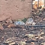 IMG_20250829_202652_248