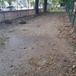 IMG_20250829_202652_832
