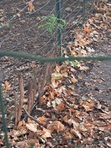 IMG_20250829_202653_088