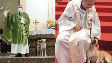 PRETE AIUTI CANI RANDAGI