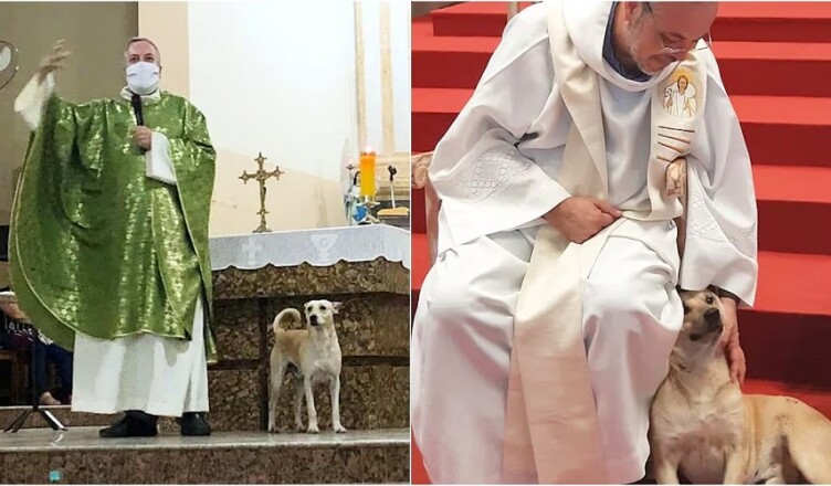 PRETE AIUTI CANI RANDAGI