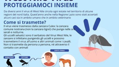 VIRUS ZANZARA PROTEGGIAMOCI INSIEME