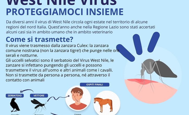 VIRUS ZANZARA PROTEGGIAMOCI INSIEME