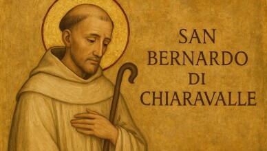 san bernardo