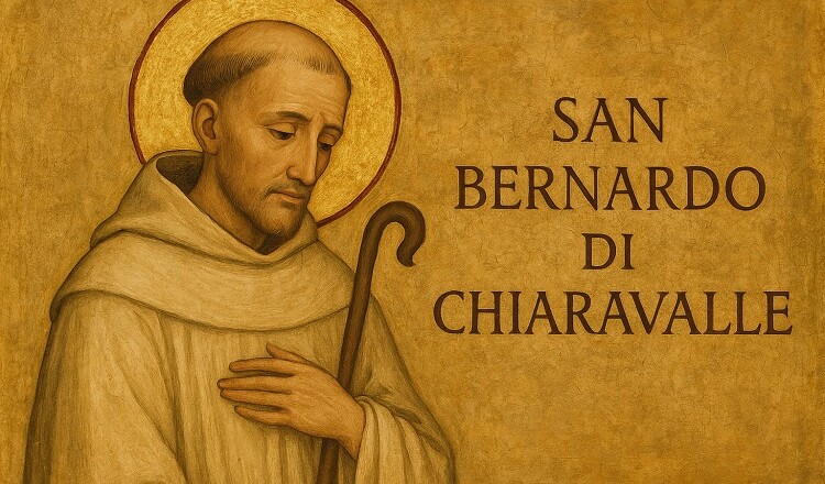san bernardo