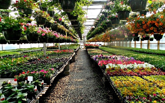 VIVAIO FIORI