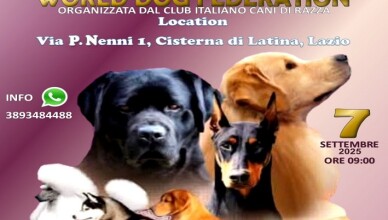 Word Dog Federation, torna a Cisterna l’esposizione canina