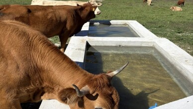 Cori_Pozzo artesiano e abbeveratoio attivi a Fontana del Prato