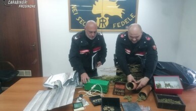 COLTIVA MARIJUANA IN CASA