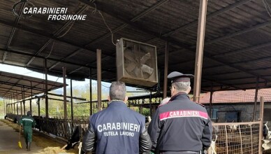 CONTROLLI AZIENDA AGRICOLA A ROCCASECCA