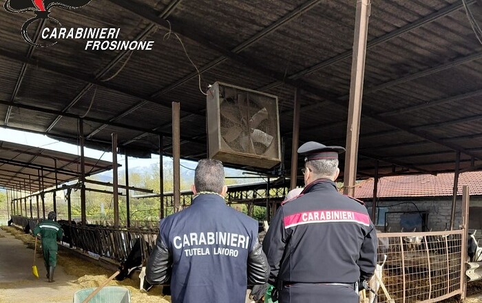 CONTROLLI AZIENDA AGRICOLA A ROCCASECCA