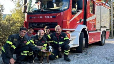 Castrocielo, i vigili del fuoco recuperano un cane in alta montagna finito in burrone 2