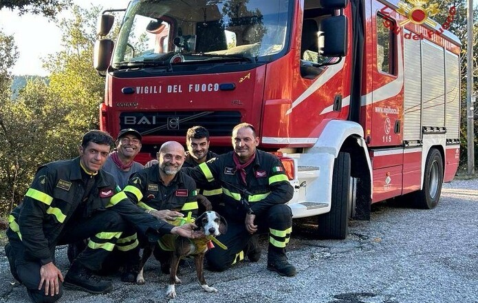 Castrocielo, i vigili del fuoco recuperano un cane in alta montagna finito in burrone 2